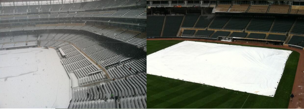 Target Field Snow