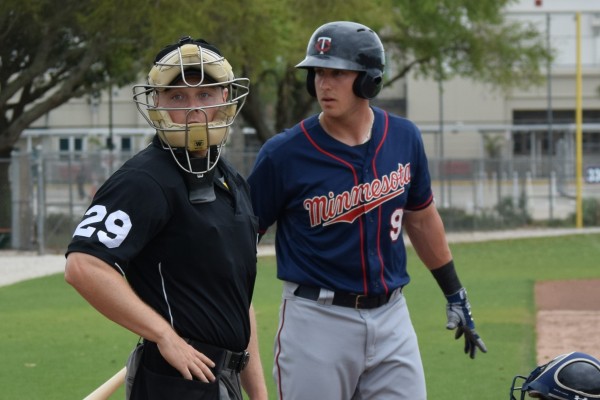 Mitch Garver (I have no idea what he and the umpire were looking at, but I'm sure it was interesting)